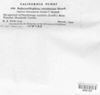 Image Associated With the Occurence